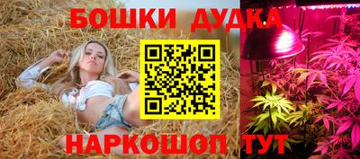 гашик Дубна