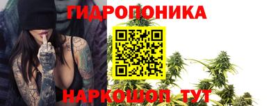 гашик Дубна