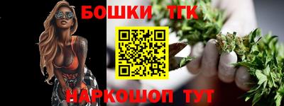 гашик Дубна