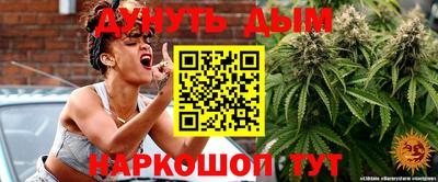гашик Дубна