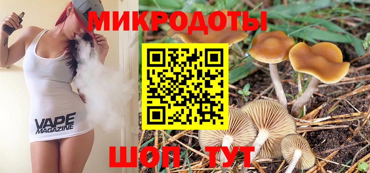 Галлюциногенные грибы Magic Shrooms  где купить наркоту  Псилоцибиновые грибы ЛСД  Майкоп  Вход с VPN 
