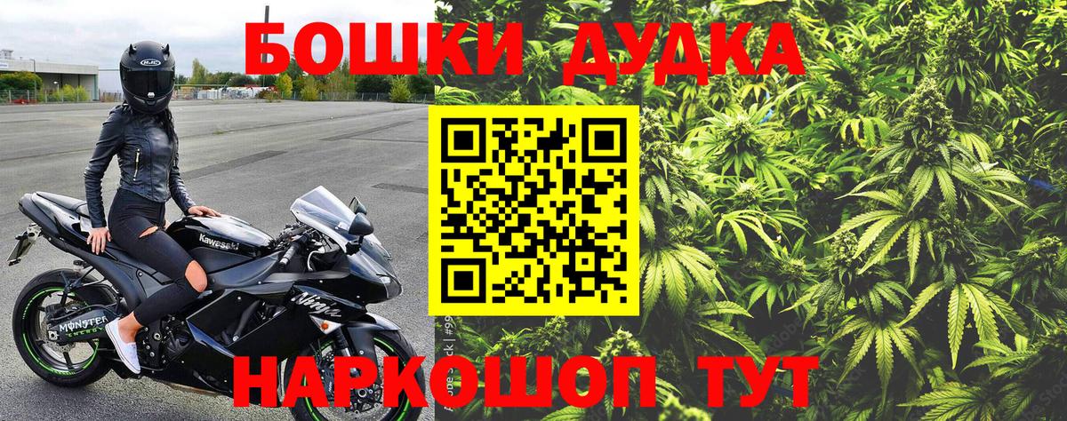 Шишки марихуана конопля  Конопля план  Каннабис Amnesia  Майкоп  Вход с VPN 